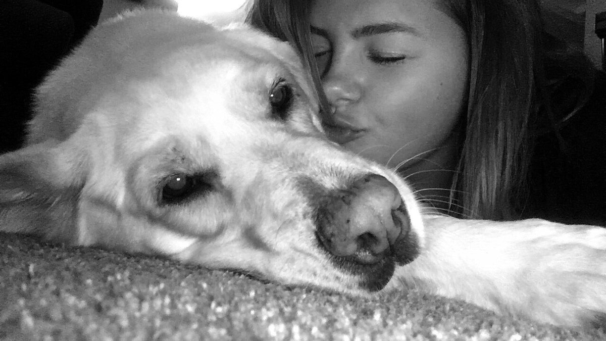 HannahSeverson5's tweet photo. Gonna miss my pup so so much!❤️❤️❤️❤️😭😭😭😭 https://t.co/NeOPLfzhqM