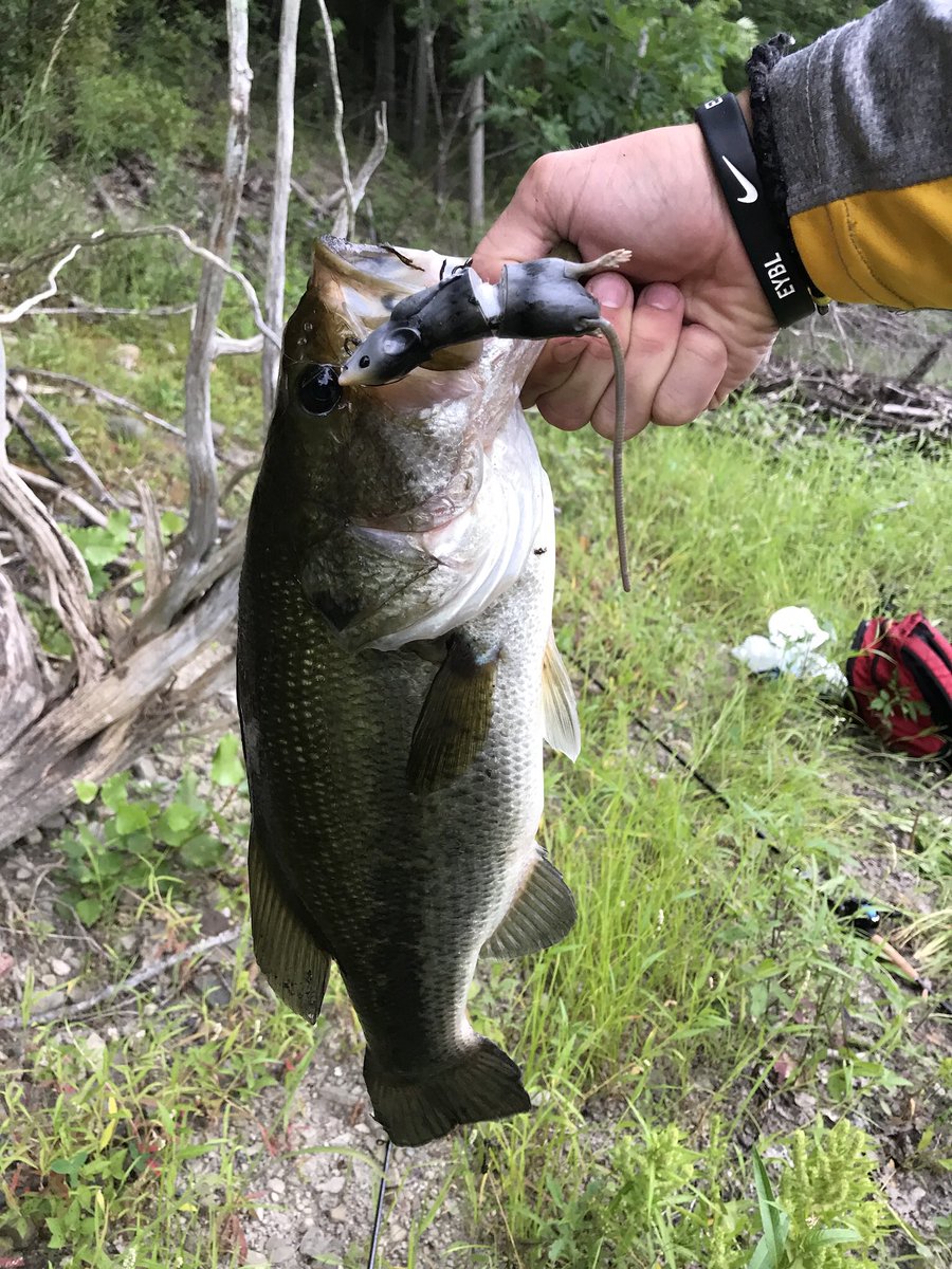 TAAFishing's tweet photo. Reminiscing https://t.co/vAnaKSxxA8