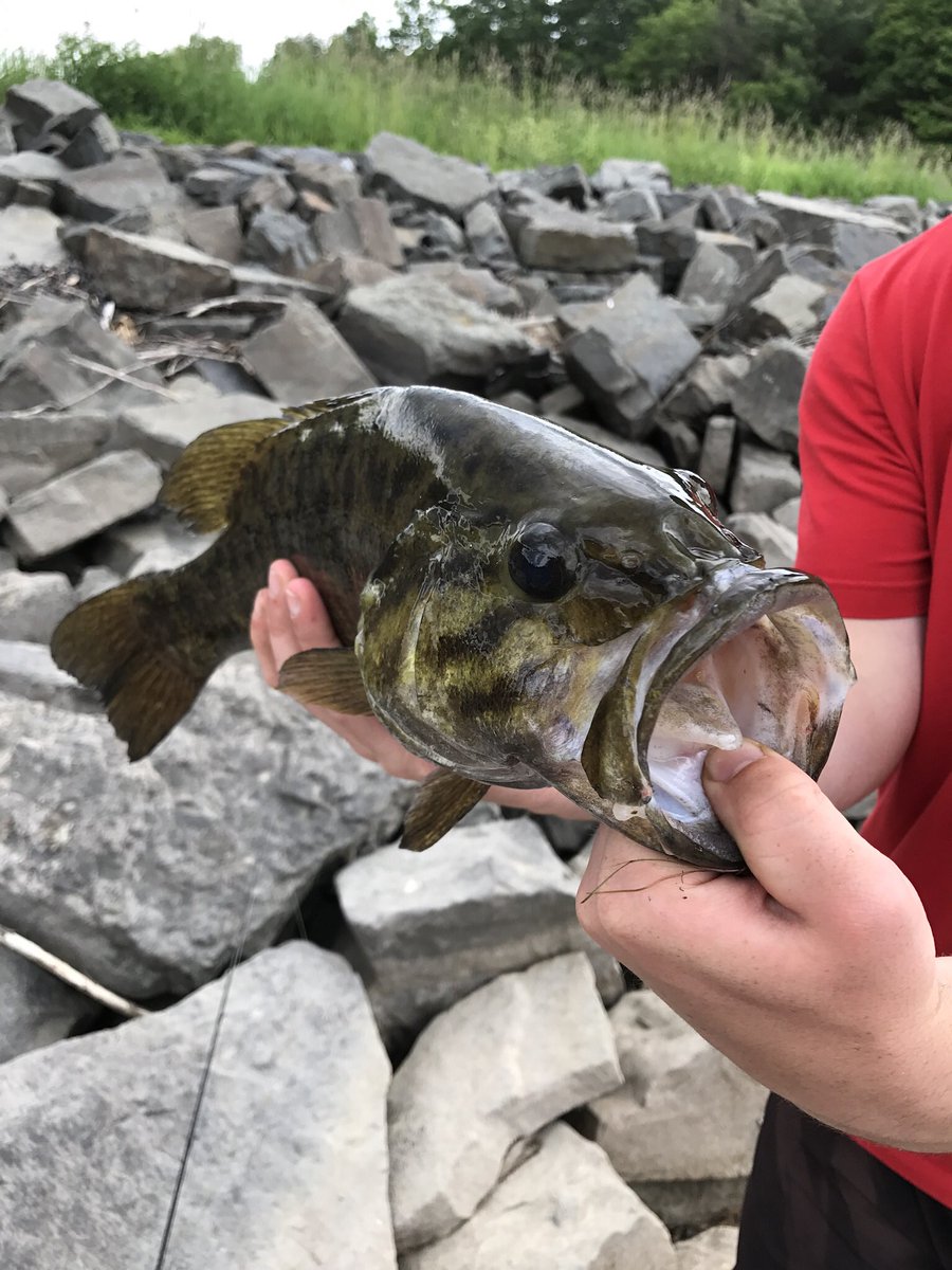 TAAFishing's tweet photo. Reminiscing https://t.co/vAnaKSxxA8