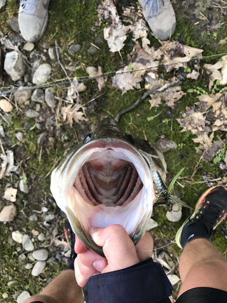 TAAFishing's tweet photo. Reminiscing https://t.co/vAnaKSxxA8