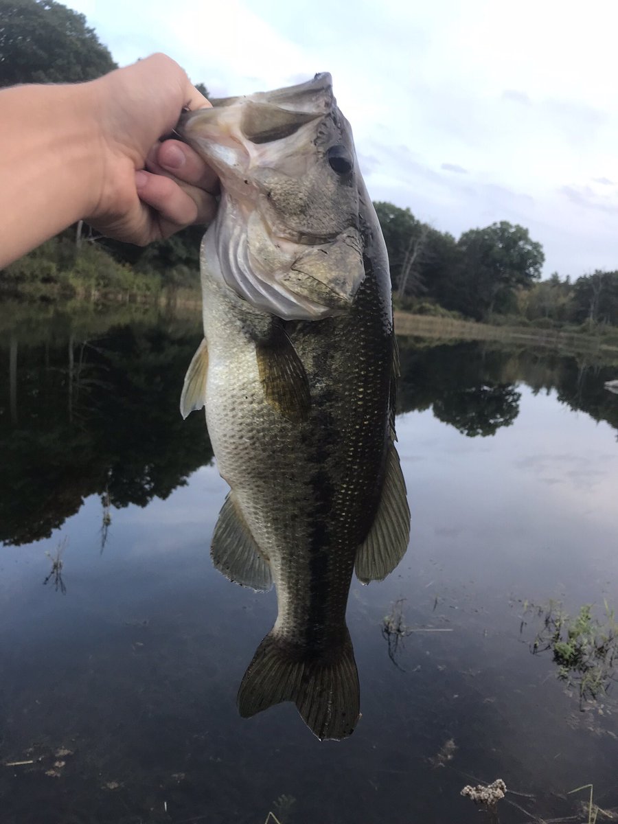 TAAFishing's tweet photo. Reminiscing https://t.co/vAnaKSxxA8