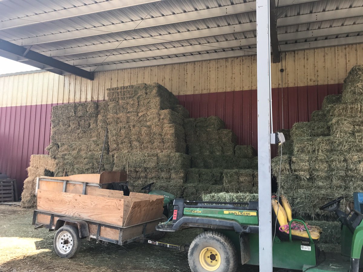 SunsetEQCenter's tweet photo. Stocking up as winter comes. Lots of good eating coming up! #horses #Winteriscoming https://t.co/q1rgzJ6an8