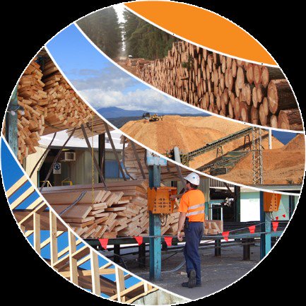 ABARES's tweet photo. #ABARES Australian #forest and #wood products statistics covering March & June
quarters 2017 is out now! #AFWPS17 | https://t.co/suO6k55vNm https://t.co/lSMf0MEahH