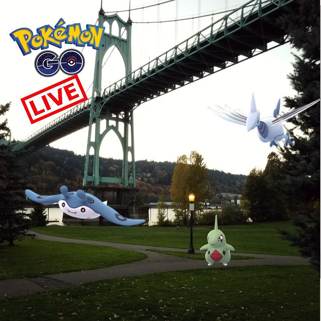 shauns1288's tweet photo. Go check out my New Video Up on my YouTube Channel! 100%IV Pokemon in Portland Oregon! ๐๐๐ฏ๐๐ #Limit3dArmy #PerfectIVPokemon #PokemonGo https://t.co/sErCHx4qOc