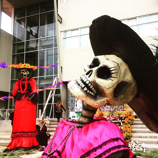 De las mejores fotografías de la semana con #BienvenidaaTijuana en #instagram 📱✨ ¡Síguenos por allá! instagram.com/bienvenidaatij… #Tijuana