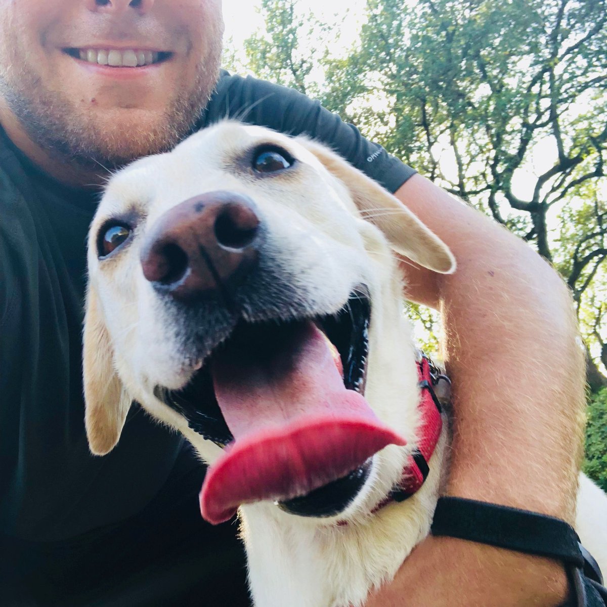 Austin Dog Butler tweet media