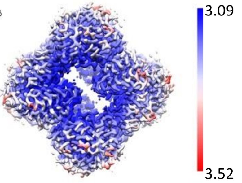 reducentropy's tweet photo. Next step in resolution revolution: 
~3.1Å res #cryoEM structure of 17 kDa DARPin protein in symmetric cage 
https://t.co/9wq1Xbfw2O https://t.co/zD7dGBeb8x