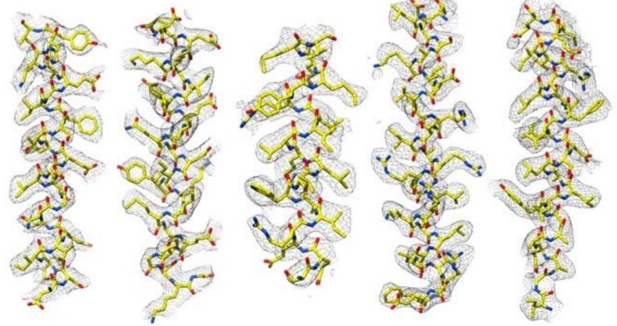 reducentropy's tweet photo. Next step in resolution revolution: 
~3.1Å res #cryoEM structure of 17 kDa DARPin protein in symmetric cage 
https://t.co/9wq1Xbfw2O https://t.co/zD7dGBeb8x
