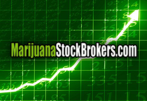 webnamedomains's tweet photo. Domain For Sale! #marijuana #domains #medicalmarijuana #cbd #websites #business #marketing #brand #Entrepreneurship #entrepreneurs BUY NOW! https://t.co/4bVAd1CJ5Q