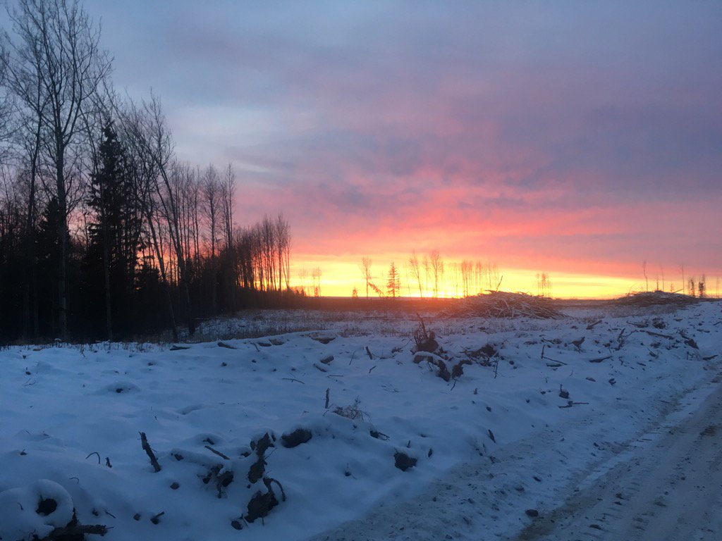 Lots of colour at dusk