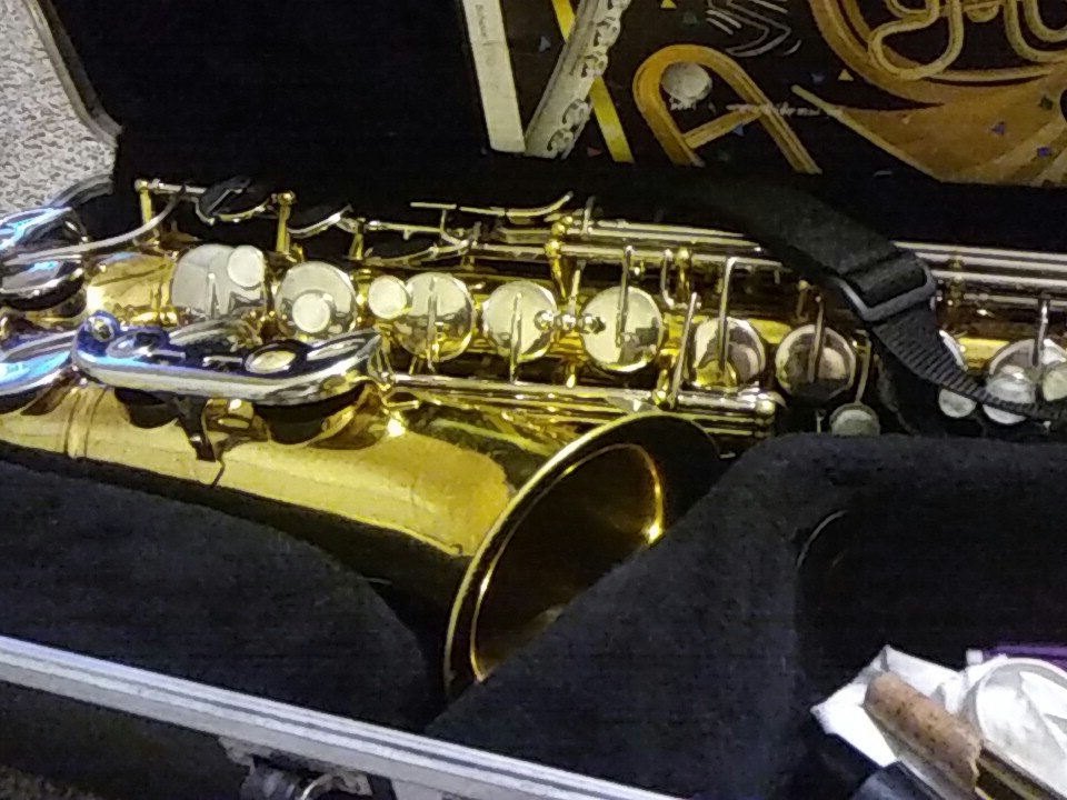 RedLikesDrawing's tweet image. So i guess its national saxaphone day! Guess who plays the saxaphone?🎷