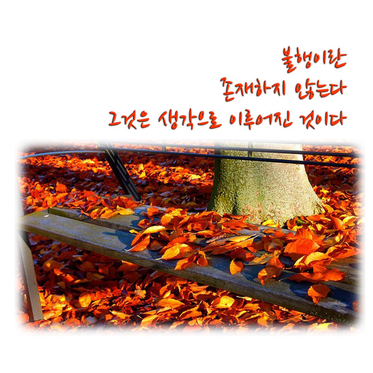 불행이란 존재하지 않는다.