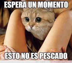 PerverVNZL's tweet photo. Lavate esa QK chamita que tu mamá es bachaqueraaaaaa https://t.co/RueBaNnGhe