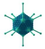 BCILifeSciences's tweet image. A new method for accurately assessing rAAV vector homogeneity is AVAilable.  #InSolution  bit.ly/2hElnG8