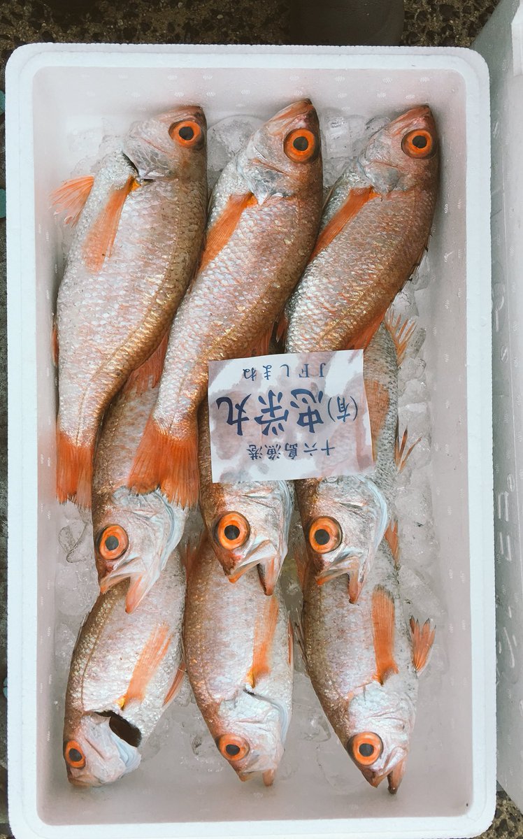 多久食堂 島根県松江市鹿島町 地場料理 Takushokudo29 Twitter