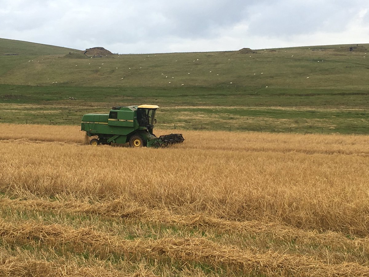 Brake_Farm's tweet photo. That's the combining all finished here in Shetland, the ground has been very soft in places...as I found out https://t.co/OUcmgxW30d