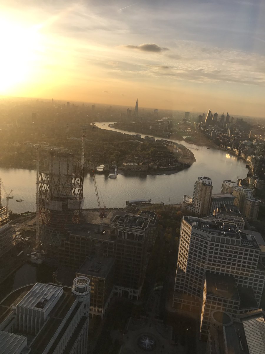 Dr Amanda Pound tweet media