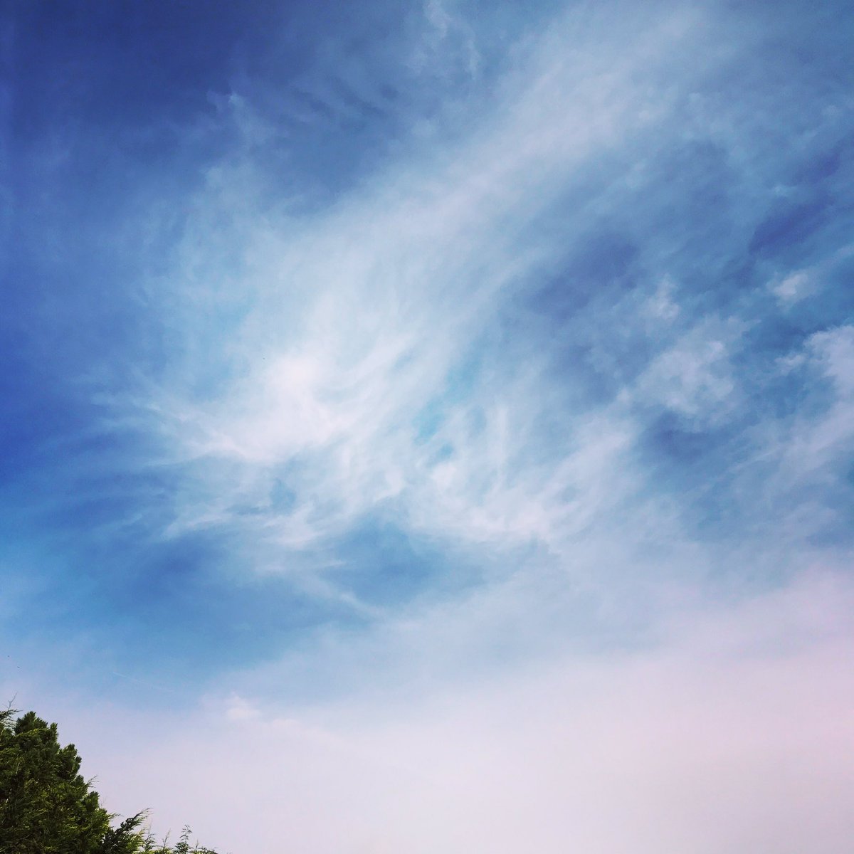 Surgery, intensive care, home and today..out in the sunshine!Bit wobbly but getting stronger each day!#cancertreatment #skyfordaisysfriends😊