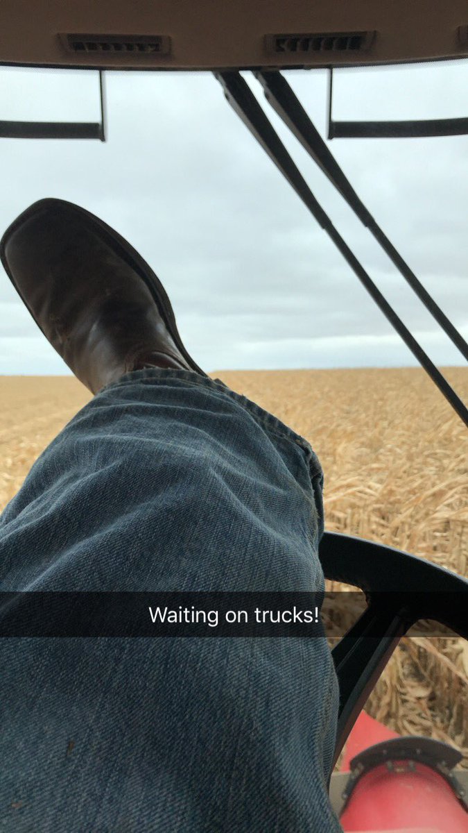 JeffBullerman's tweet photo. Good problem to have. #goodcorn #harvest17 https://t.co/KrLUhyTDyS