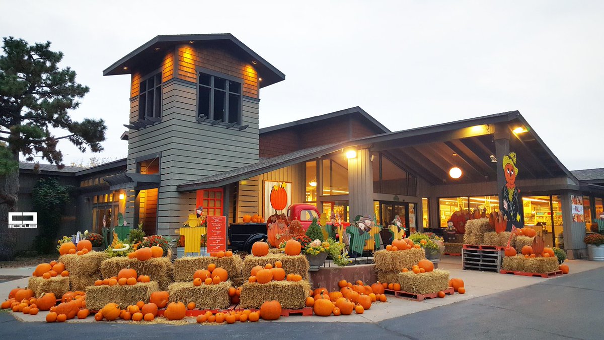 mcdcleb's tweet photo. #pumpkin #pumpkins #halloween2017 #toilandtrouble #blackcat #hauntedhouse #spooktacular #broom #broomstick #broomparking #creepitreal https://t.co/t4zZzty9Ra