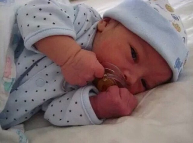 OneFluffyAlpha's tweet image. Oh my god. *Quickly dials @WoofInCardigans number* Baby? Come quick. We're daddies now.