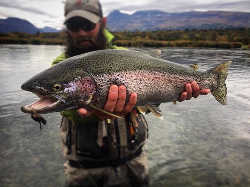 lamsonflyfish's tweet photo. Mousing around in Alaska. 👌⠀
📸: | @beardedflyguy ⠀
⠀
#lamsonfleet #flyfishing #mousehatch #trout #dryfly #flyfishingalaska #dowhatyoulove #… https://t.co/1CpsYcKHsl