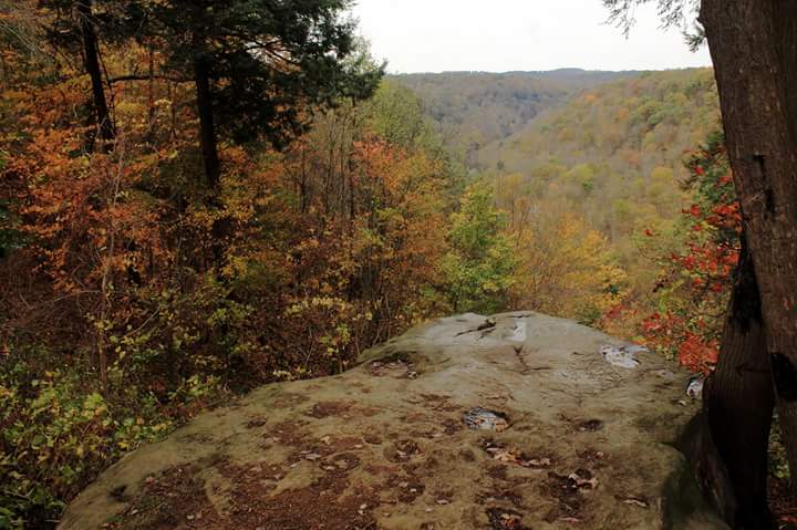 herslaura's tweet photo. Cleland Rock at McConnell's Mills State Park #FallinPA #fallfoliage #nature #mcconnellsmillsstatepark #pastateparks #fallfoliage2017 https://t.co/mFjV9esZ8R