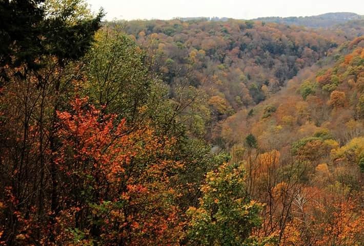 herslaura's tweet photo. Cleland Rock at McConnell's Mills State Park #FallinPA #fallfoliage #nature #mcconnellsmillsstatepark #pastateparks #fallfoliage2017 https://t.co/mFjV9esZ8R