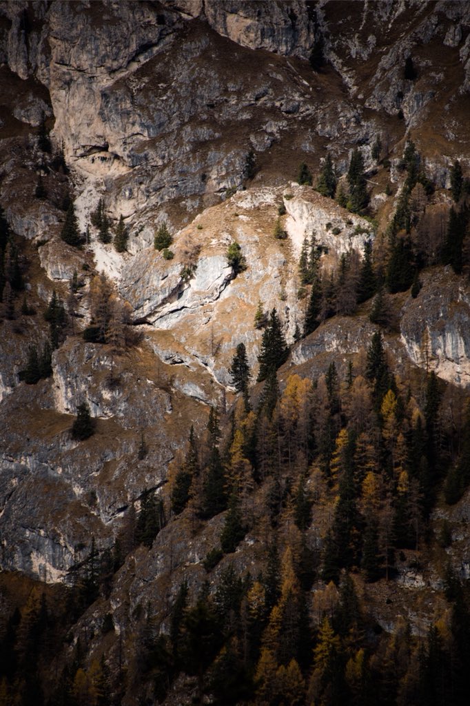 sentiersphoenix's tweet image. #throwbackyesterday Froid et plein soleil était au programme aujourd’hui. Je n’ai pas encore eu le temps de regarder les photos du jour...