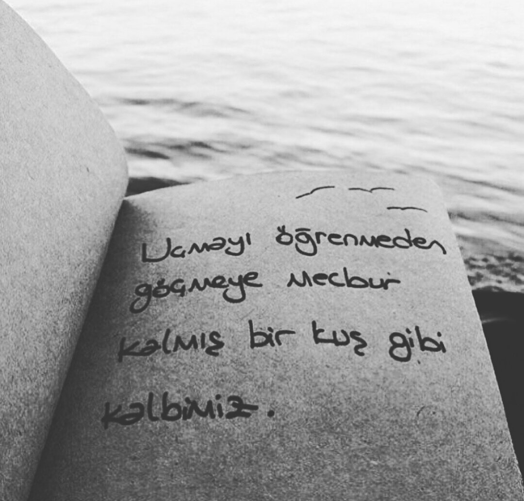 ŞABAN HÜSREVOĞLU (@vosbis) on Twitter photo 