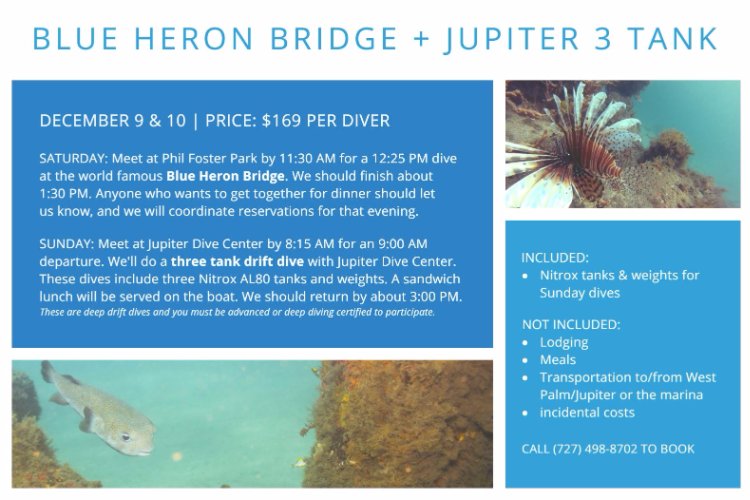 GDCDive's tweet image. Interested in attending? Give us a call at (727) 498-8702 for details and booking.