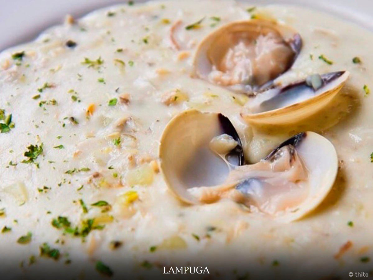 ¡Nuestro Clam Chowder es la perfecta elección para los días de frío!  
#Polanco #Condesa #Roma 
Reserva: lampuga.com.mx