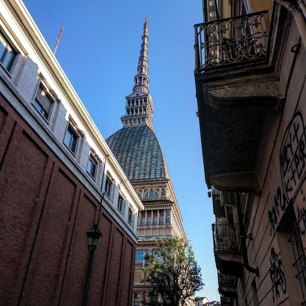 ciauturin's tweet photo. "Quando nel dolore si hanno compagni che lo condividono, l’animo può superare molte sofferenze"
#William #Shakespe… https://t.co/t0GLhyyWw5 https://t.co/TUDwVV3zGH
