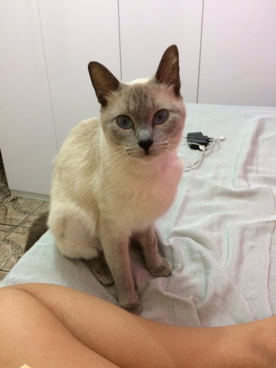 Deus abençoe todos vocês que ajudaram, vocês são uns anjos 💙