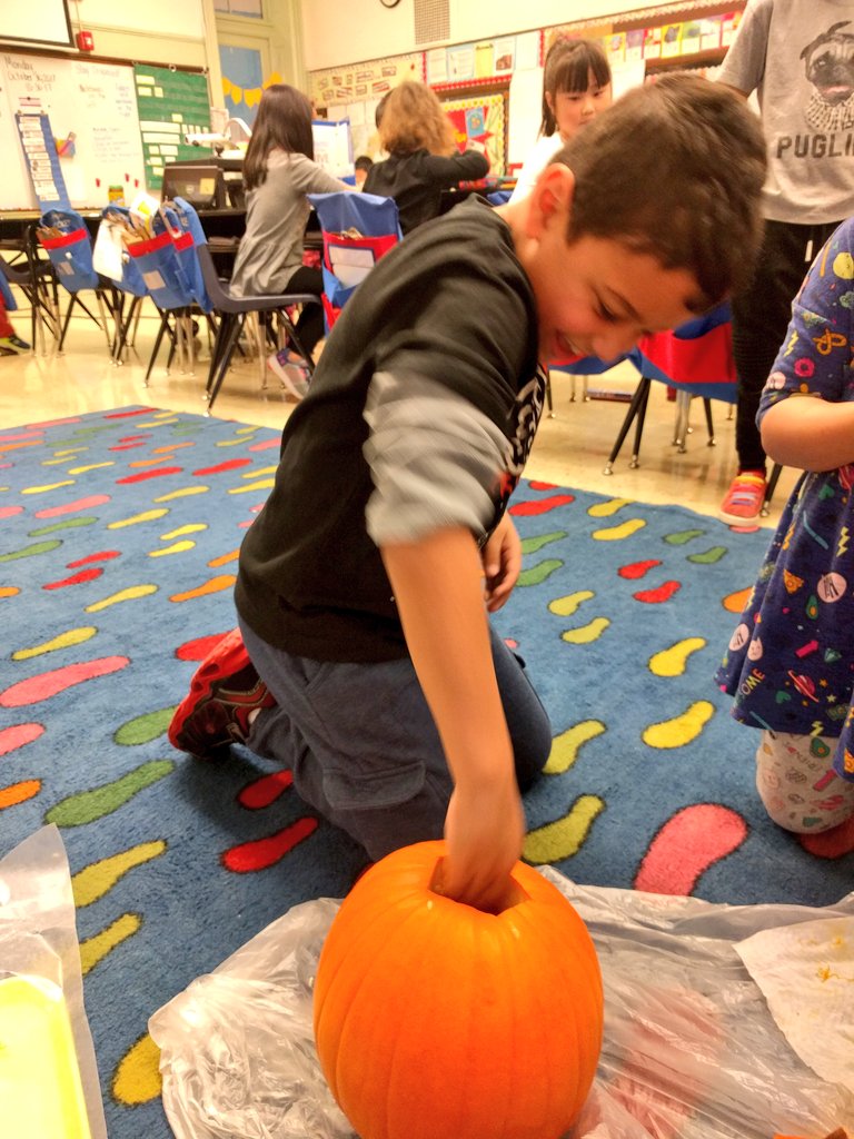 MSARoom108's tweet photo. Today we took the seeds out of our pumpkin for the #pumpkinseedproject We think it felt really icky! Tomorrow we will count seeds! #MSArm108 https://t.co/7TMsjuxrHP
