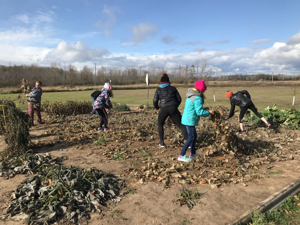 PCSD_FV's tweet photo. These 5th graders helped pick 30 pumpkins & then helped to winterize the garden! We saw our 1st flurries today! #RaiderStrong #NotReady4Snow https://t.co/4sBC0VHAMw