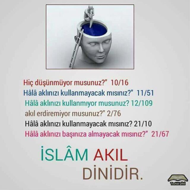 CevikAdem's tweet photo. https://t.co/TirrYunhhg https://t.co/YyodA2mMyn https://t.co/uc4WCpTCpM https://t.co/TRZDsBFqXQ @BoluBirligi Başkanı https://t.co/q3Wcqm1vZU https://t.co/85kdvGvaM1