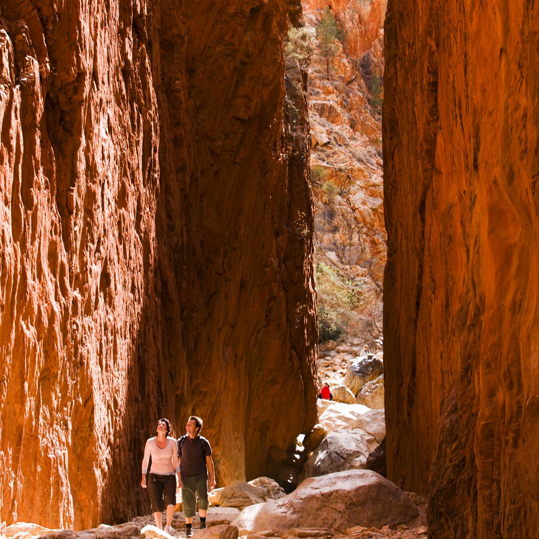 West MacDonnell Ranges, located in the incredible, Northern Territory! An outstanding example of the ancient landscape of Australia.