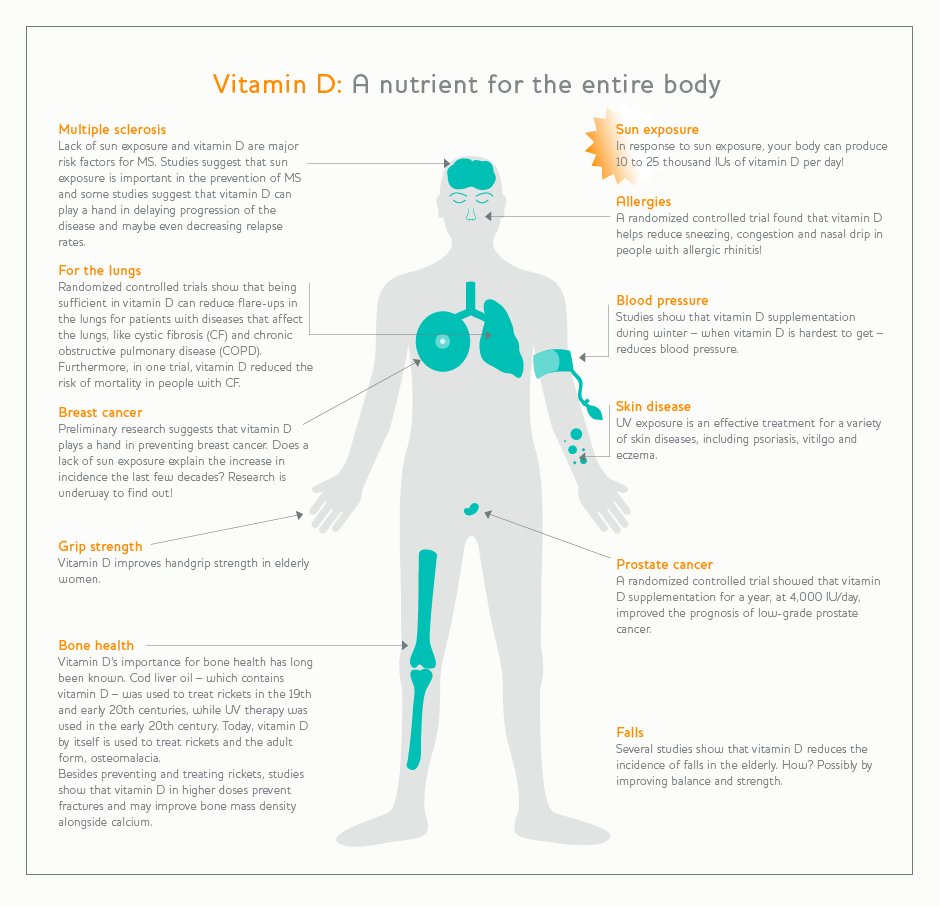 VitaminDCouncil's tweet photo. #VitaminD has an important role in the #health and functioning of many body systems. Share the diagram and teach others! https://t.co/BI2qjdO5TL