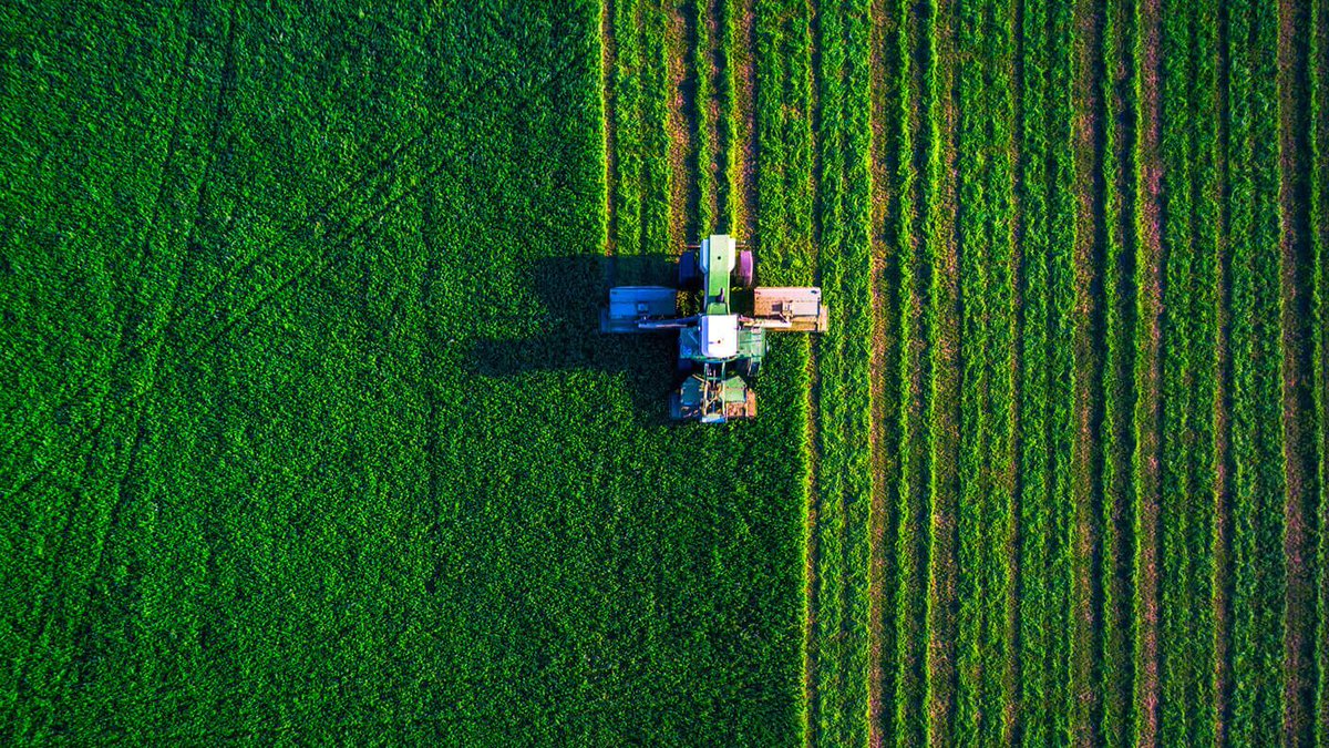 singularityhub's tweet photo. Comin' up on the age of automated precision agriculture. From farm to table with minimal human involvement. 🤖🚜🌱 https://t.co/slWDQ6L2G7 https://t.co/3gLSJv8uf1