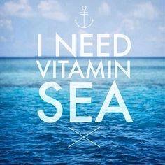 TallPoppyWoman's tweet photo. Time for a break... #INeedVitaminSea https://t.co/lAKTYlkHc0