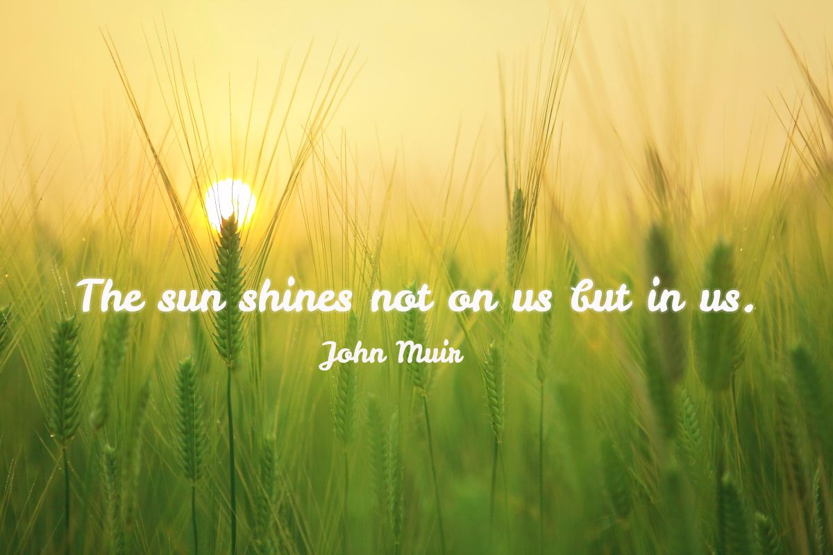 studytact's tweet image. Here's some motivation for your Monday! #quote #monday #StudyTact #tutor #app