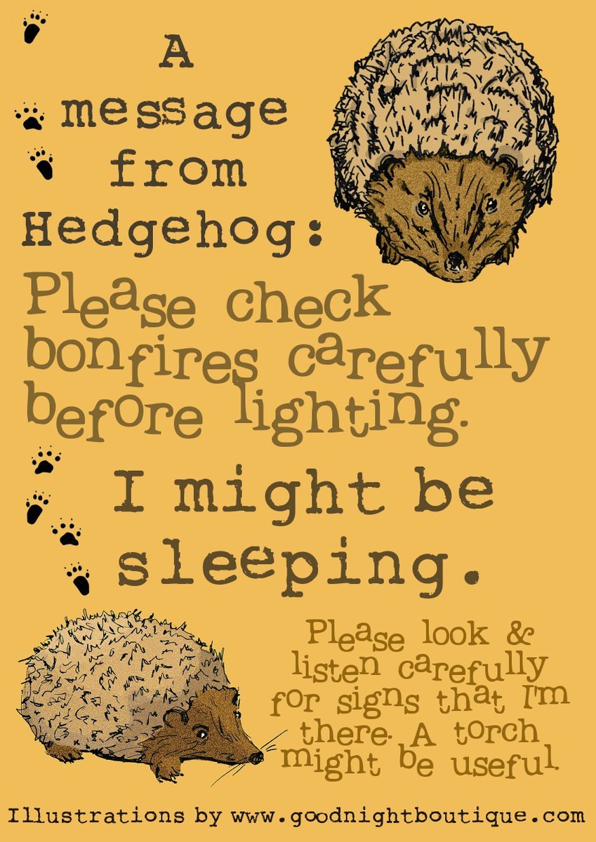 Please do check bonfires very carefully before lighting them... better still go to a public display. Watch out for hedgehogs! #BonfireNight