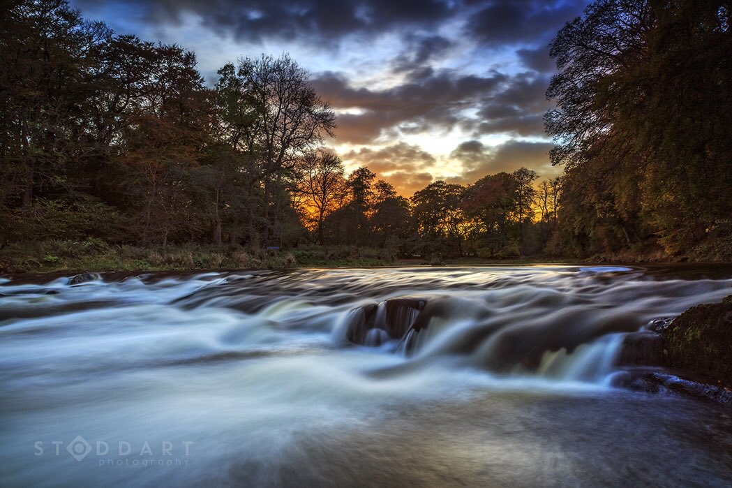 Canon Australia (CanonAustralia) Twitter