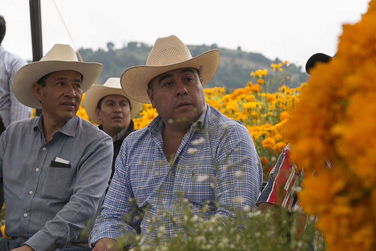pacogardunog's tweet photo. Reconozco la disposición del Gobernador @alfredodelmazo para potenciar productividad agrícola y consolidar un campo de resultados firmes. https://t.co/6e1av86rpd