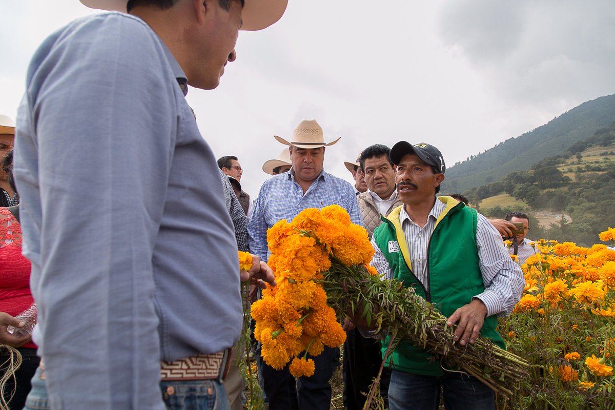 pacogardunog's tweet photo. Reconozco la disposición del Gobernador @alfredodelmazo para potenciar productividad agrícola y consolidar un campo de resultados firmes. https://t.co/6e1av86rpd