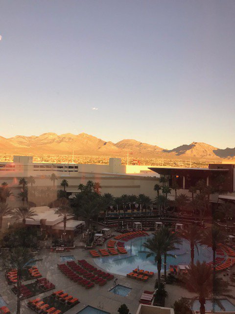 DBDColumbia's tweet photo. Wishing we were back at #TheIAPA @LVIGlobal @TheIAPA #leadingdentists #LVI #TheIAPA #physiologicdentistry https://t.co/1gnVO5uZa9