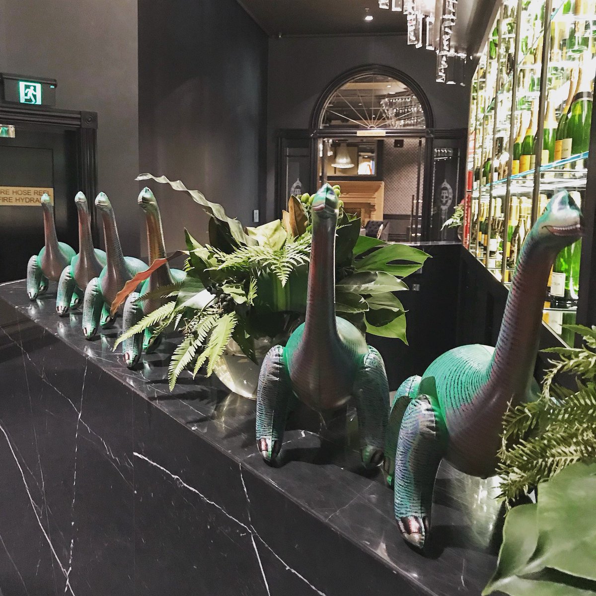 ntzri's tweet photo. #Sydney!! It’s almost time - @Bronto #BrontoSpotlight starts soon!! https://t.co/sgoeAUs900