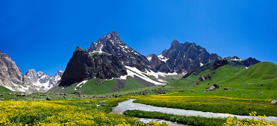 hakkaritv's tweet photo. Hakkari #CİLO Dağları #MERGAN (Spixane) Yaylası https://t.co/BGAowuQh41