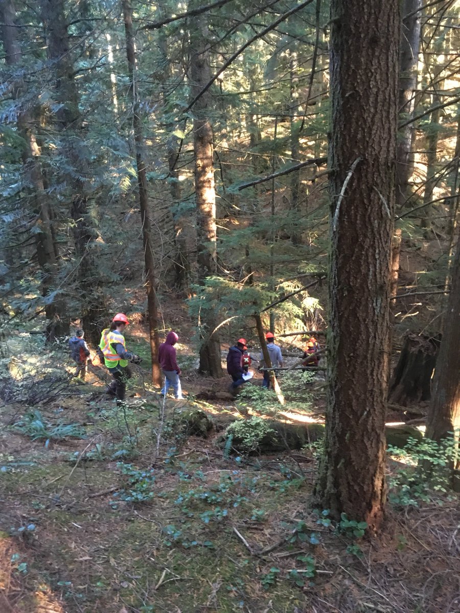 ubcMSFM's tweet photo. The 2018 MSFM class is in Malcolm Knapp Research Forest this week to work on site plans! https://t.co/mYuqHVFV1k